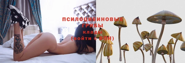 эйфоретик Володарск
