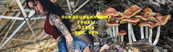 эйфоретик Володарск
