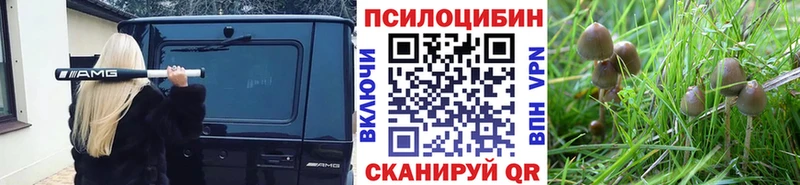 Псилоцибиновые грибы MAGIC MUSHROOMS  Купить  Багратионовск 